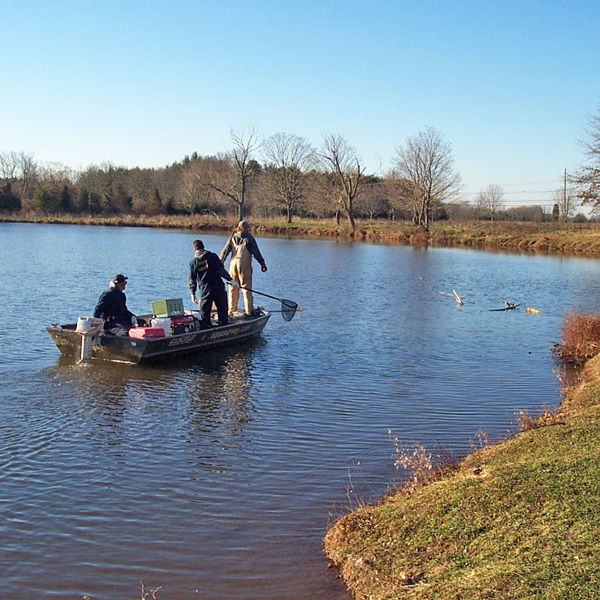 Pond System Ecological Risk Assessment
