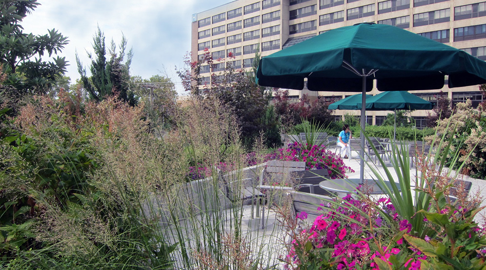 Md Anderson Cancer Center At Cooper Rooftop Garden Langan